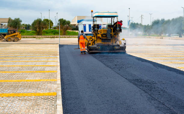 Best Driveway Paving Contractor  in Chesnut Hill, PA