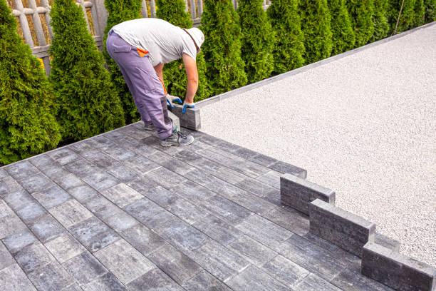 Best Custom Driveway Pavers  in Chesnut Hill, PA